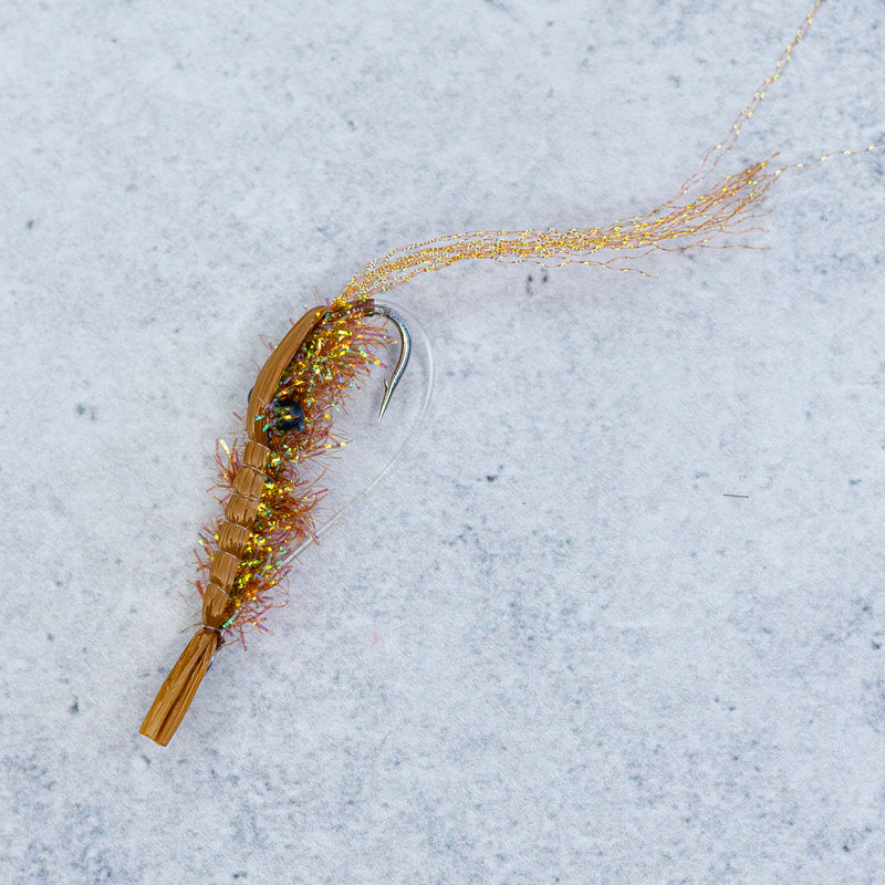 Crystal Shrimp - Brown