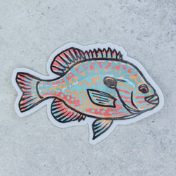 Vintage Pumpkinseed Decal