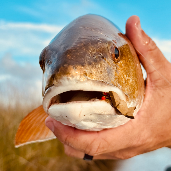 SCF Poppin' Shrimp Gurgler – Space Coast Flies